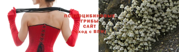 ГАЛЛЮЦИНОГЕННЫЕ ГРИБЫ Няндома