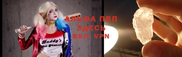 шишки Аркадак