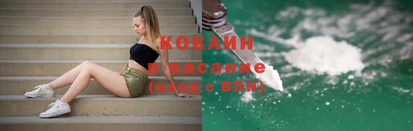 шишки Аркадак