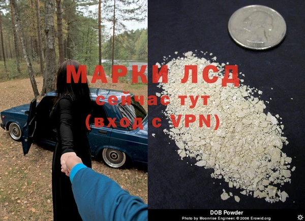 амф Алзамай