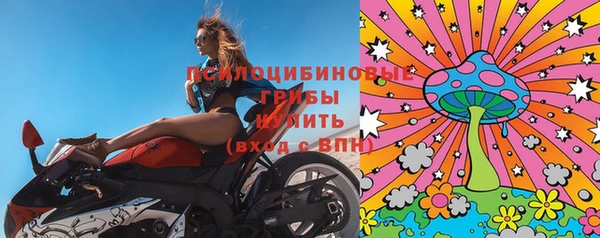 МДПВ Алексеевка
