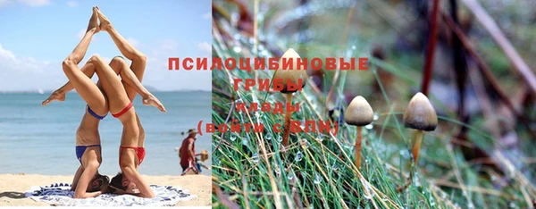 МДПВ Алексеевка
